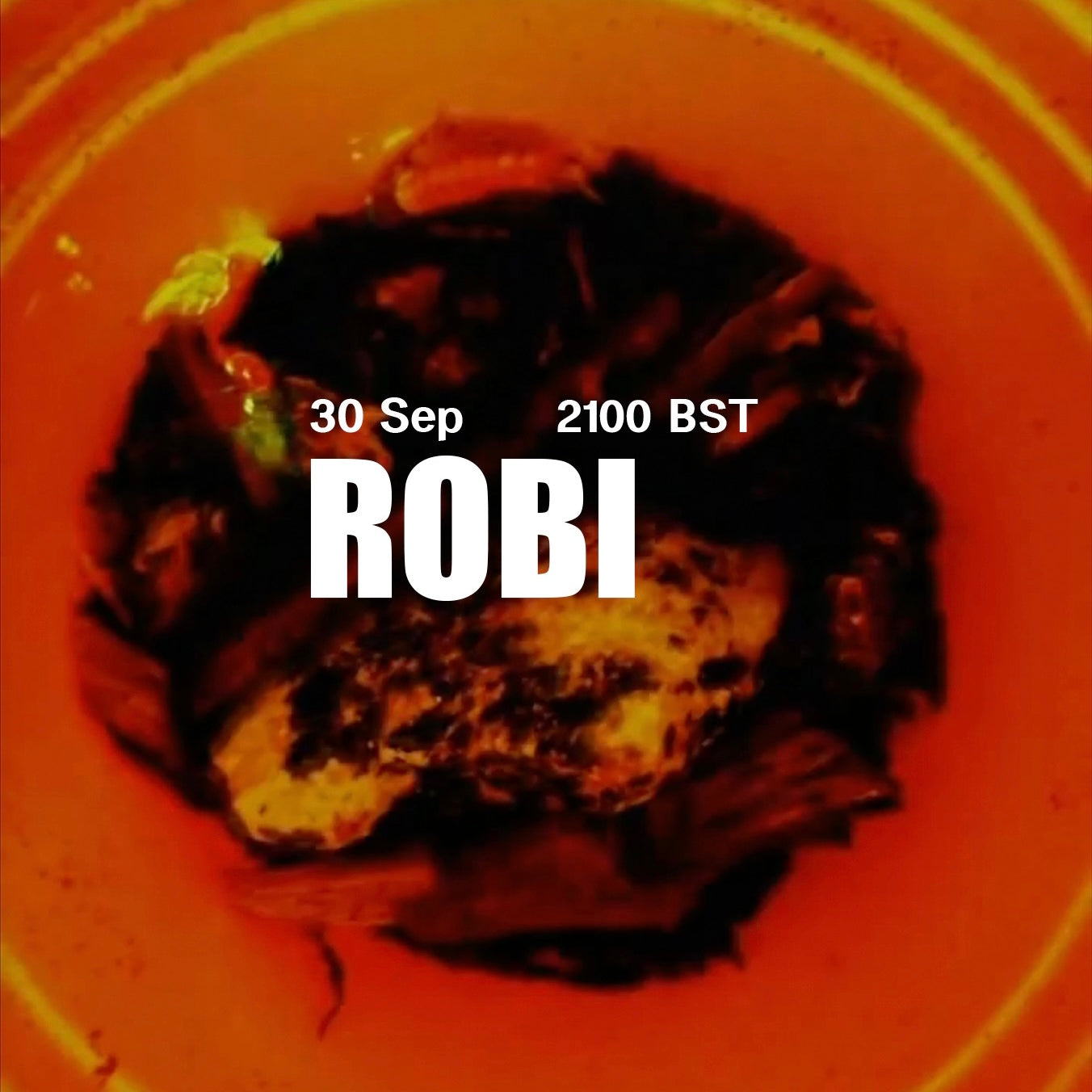 30/09/21 A.B.N. ROBI – AFFXWRKS